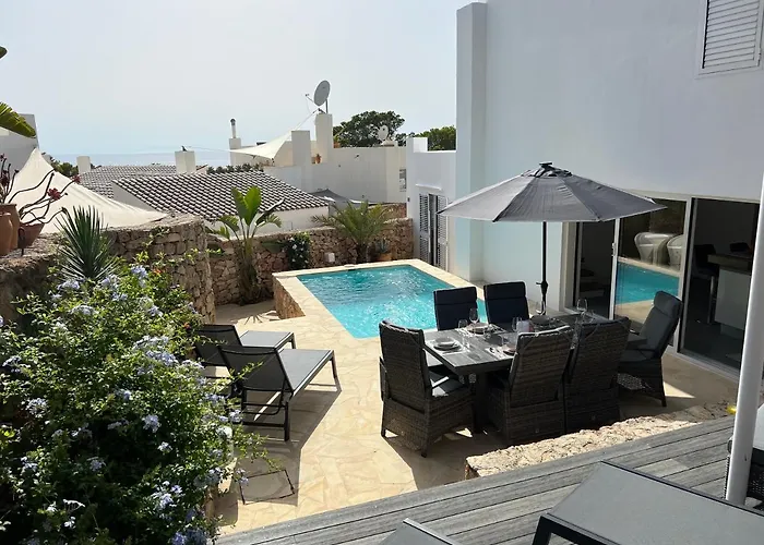 Casa Palm Tree